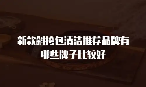 新款斜挎包清洁推荐品牌有哪些牌子比较好