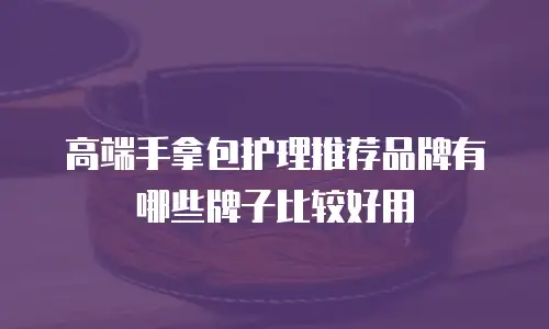 高端手拿包护理推荐品牌有哪些牌子比较好用