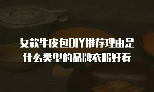 女款牛皮包DIY推荐理由是什么类型的品牌衣服好看