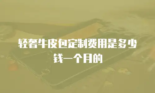 轻奢牛皮包定制费用是多少钱一个月的