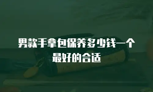男款手拿包保养多少钱一个最好的合适