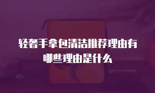 轻奢手拿包清洁推荐理由有哪些理由是什么