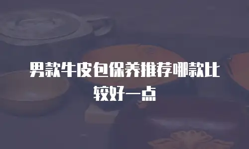 男款牛皮包保养推荐哪款比较好一点