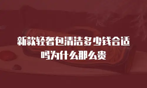 新款轻奢包清洁多少钱合适吗为什么那么贵