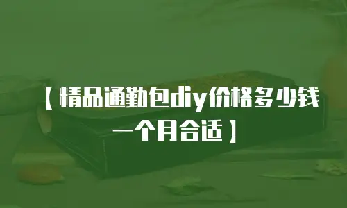 【精品通勤包diy价格多少钱一个月合适】
