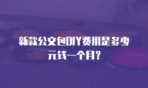 新款公文包DIY费用是多少元钱一个月？