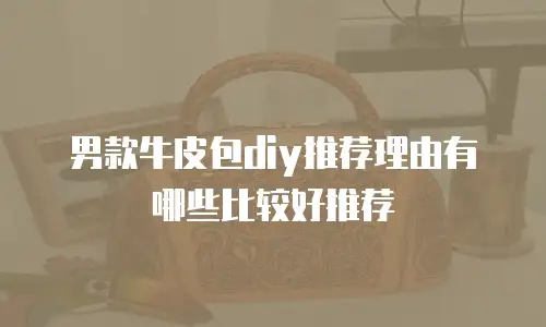 男款牛皮包diy推荐理由有哪些比较好推荐