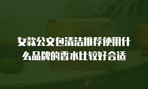 女款公文包清洁推荐使用什么品牌的香水比较好合适