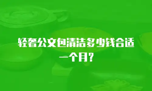 轻奢公文包清洁多少钱合适一个月？