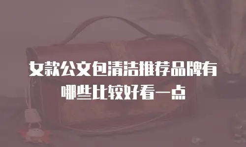 女款公文包清洁推荐品牌有哪些比较好看一点