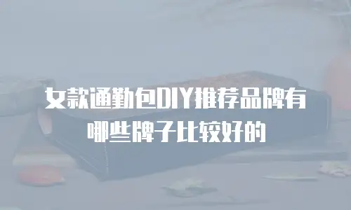 女款通勤包DIY推荐品牌有哪些牌子比较好的