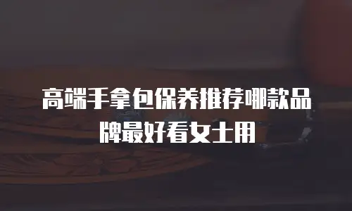 高端手拿包保养推荐哪款品牌最好看女士用