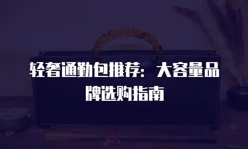 轻奢通勤包推荐：大容量品牌选购指南