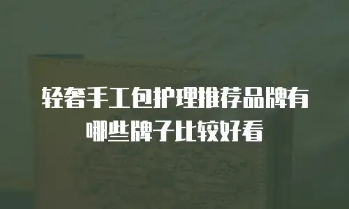 轻奢手工包护理推荐品牌有哪些牌子比较好看
