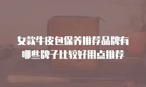 女款牛皮包保养推荐品牌有哪些牌子比较好用点推荐