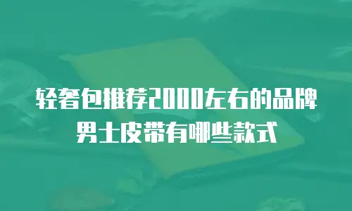轻奢包推荐2000左右的品牌男士皮带有哪些款式
