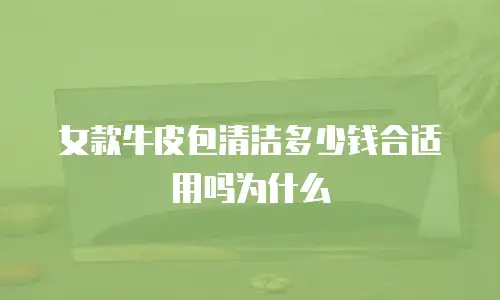 女款牛皮包清洁多少钱合适用吗为什么