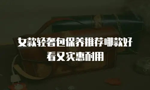 女款轻奢包保养推荐哪款好看又实惠耐用