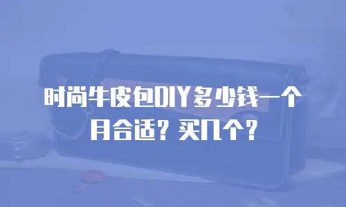 时尚牛皮包DIY多少钱一个月合适？买几个？