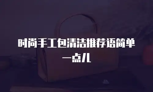 时尚手工包清洁推荐语简单一点儿