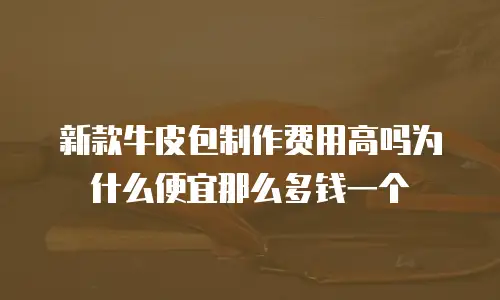 新款牛皮包制作费用高吗为什么便宜那么多钱一个