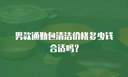 男款通勤包清洁价格多少钱合适吗？