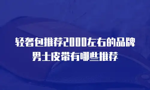 轻奢包推荐2000左右的品牌男士皮带有哪些推荐