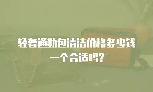 轻奢通勤包清洁价格多少钱一个合适吗？