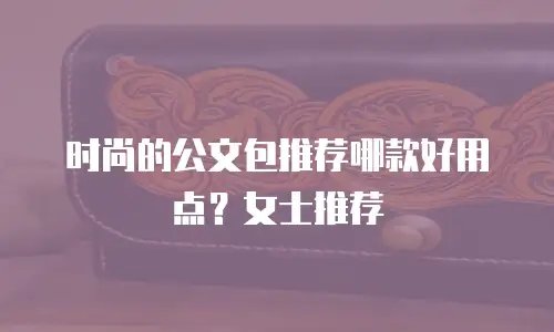 时尚的公文包推荐哪款好用点？女士推荐