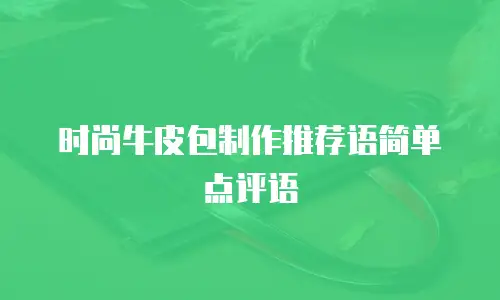 时尚牛皮包制作推荐语简单点评语