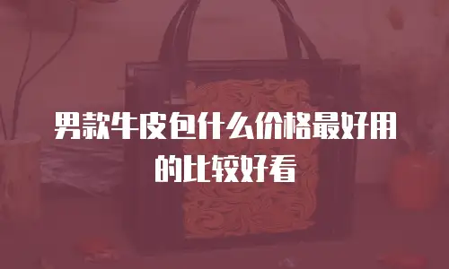 男款牛皮包什么价格最好用的比较好看