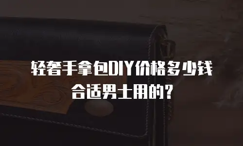 轻奢手拿包DIY价格多少钱合适男士用的？