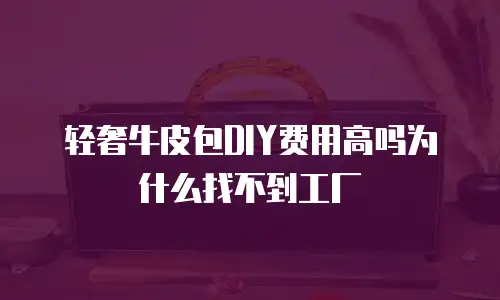 轻奢牛皮包DIY费用高吗为什么找不到工厂