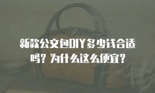 新款公文包DIY多少钱合适吗？为什么这么便宜？