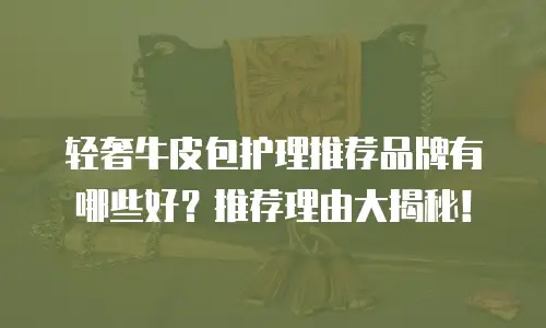 轻奢牛皮包护理推荐品牌有哪些好？推荐理由大揭秘！