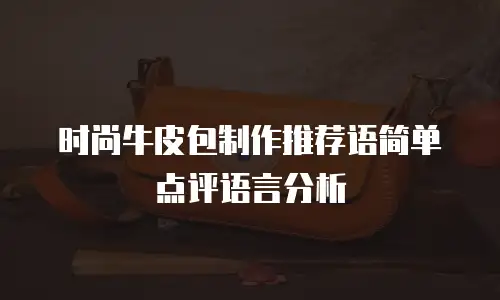 时尚牛皮包制作推荐语简单点评语言分析