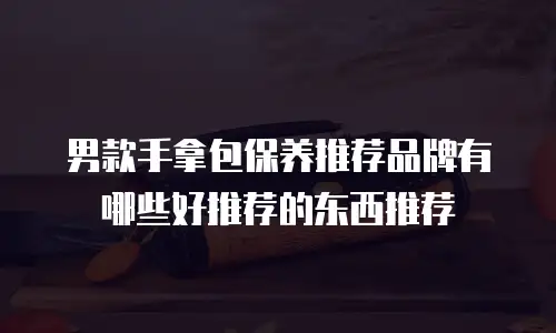 男款手拿包保养推荐品牌有哪些好推荐的东西推荐