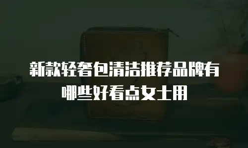 新款轻奢包清洁推荐品牌有哪些好看点女士用