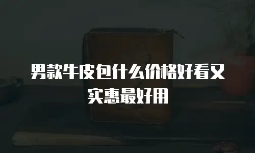 男款牛皮包什么价格好看又实惠最好用