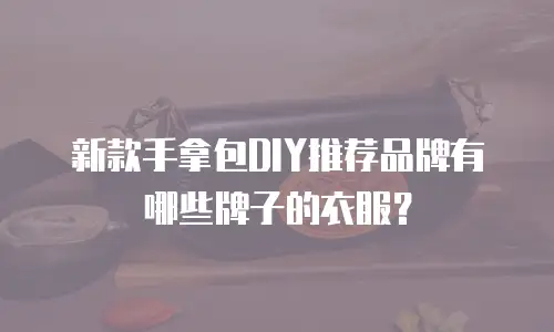新款手拿包DIY推荐品牌有哪些牌子的衣服？