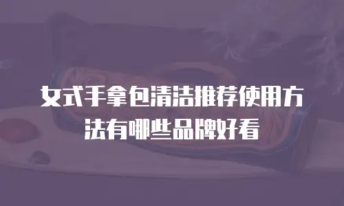 女式手拿包清洁推荐使用方法有哪些品牌好看