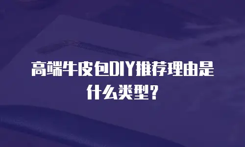 高端牛皮包DIY推荐理由是什么类型？