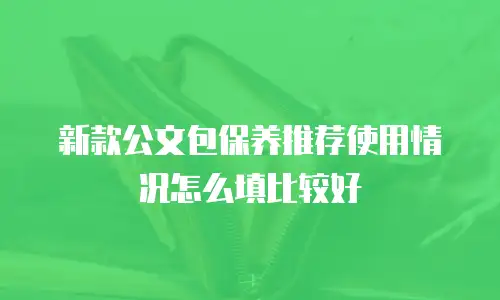 新款公文包保养推荐使用情况怎么填比较好