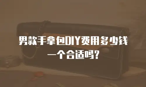 男款手拿包DIY费用多少钱一个合适吗？