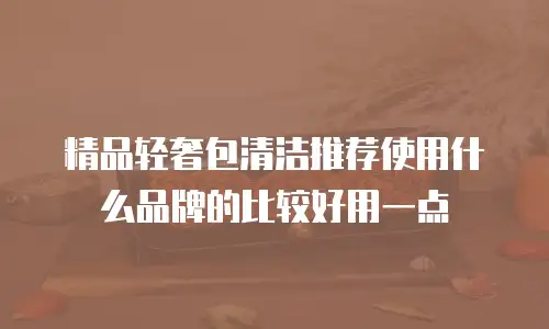 精品轻奢包清洁推荐使用什么品牌的比较好用一点