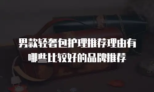 男款轻奢包护理推荐理由有哪些比较好的品牌推荐