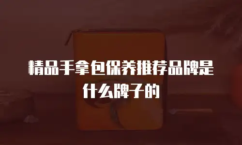 精品手拿包保养推荐品牌是什么牌子的