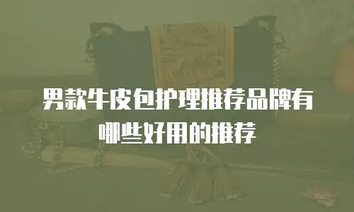 男款牛皮包护理推荐品牌有哪些好用的推荐