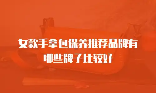 女款手拿包保养推荐品牌有哪些牌子比较好