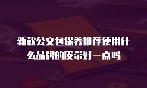 新款公文包保养推荐使用什么品牌的皮带好一点吗